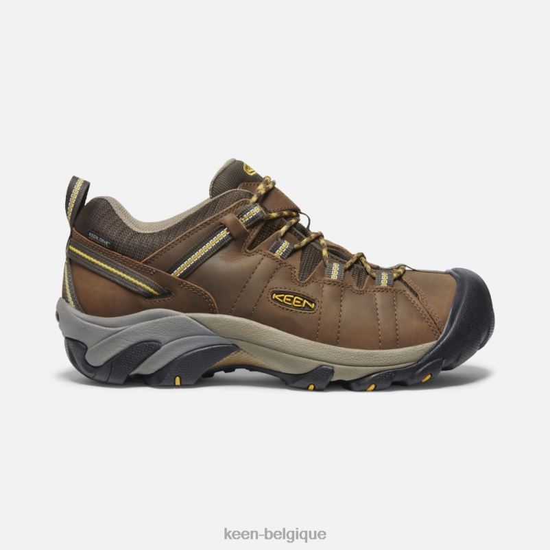 DLLD6497 Keen Targhee II étanche cascade brun-jaune doré Hommes